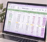 Illustrative sample: spreadsheet of organized data on a laptop